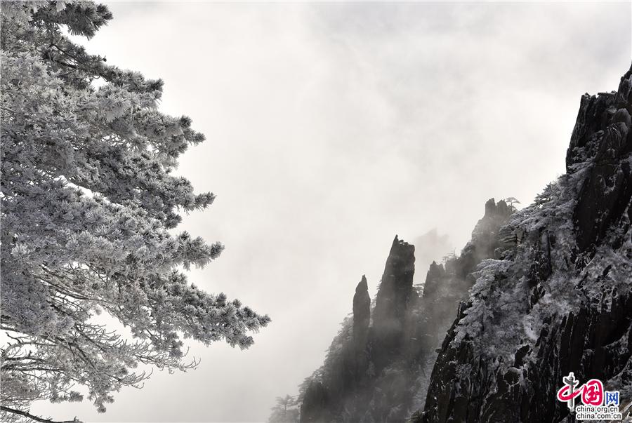 大雪过后的黄山，是一个被冰雪包裹的艺术品