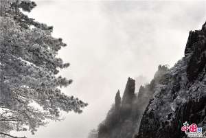 大雪过后的黄山,是一个被冰雪包裹的艺术品